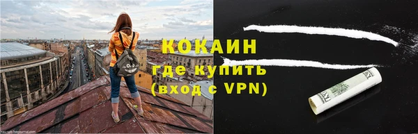 гидра Бронницы