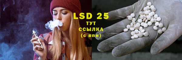 spice Бородино