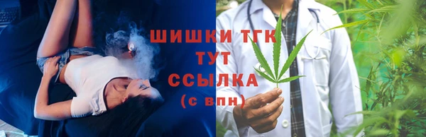 spice Бородино