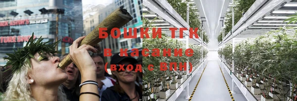 гидра Бронницы