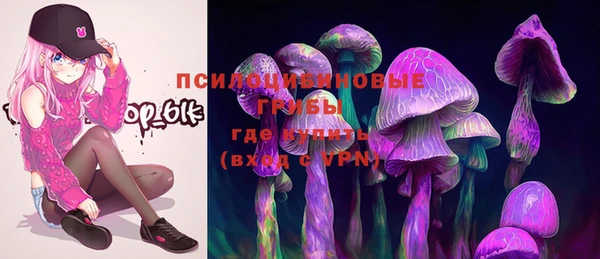 гидра Бронницы