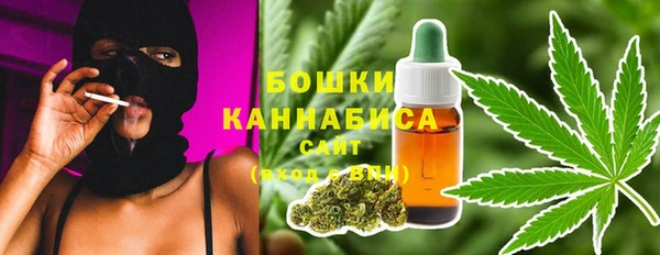 гидра Бронницы