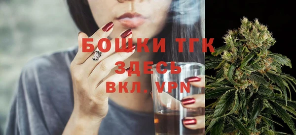 гидра Бронницы