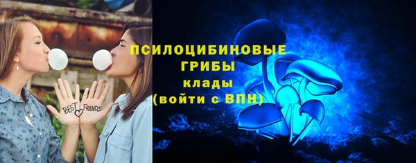 шишки Бугульма