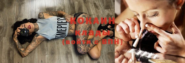 шишки Бугульма