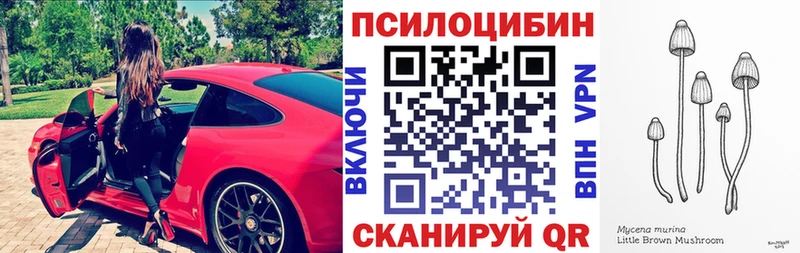 Псилоцибиновые грибы Cubensis  где найти наркотики  Тула 